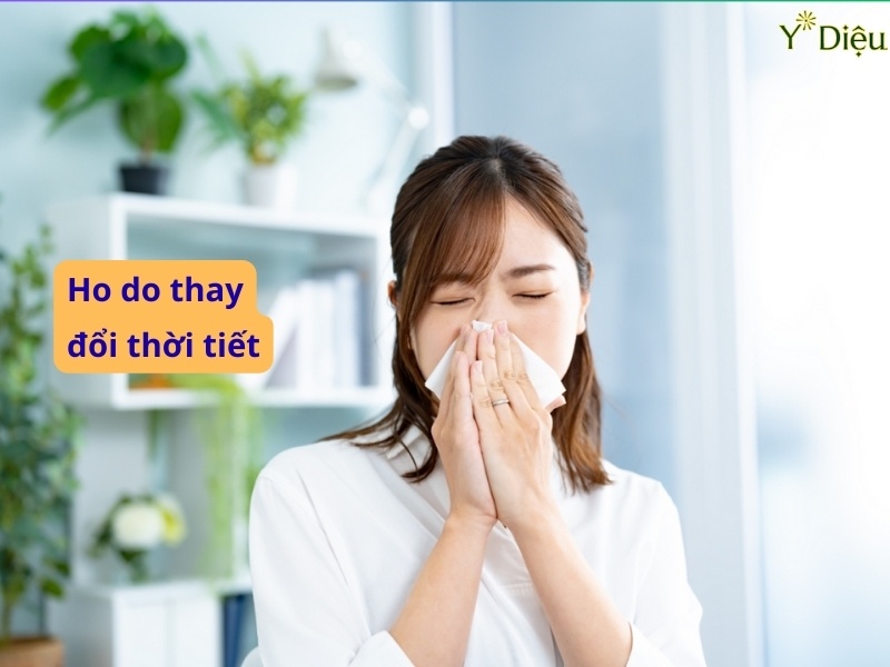 Thuốc Giảm Ho Hiệu Quả Nhanh Chóng Và An Toàn Nhất Hiện Nay